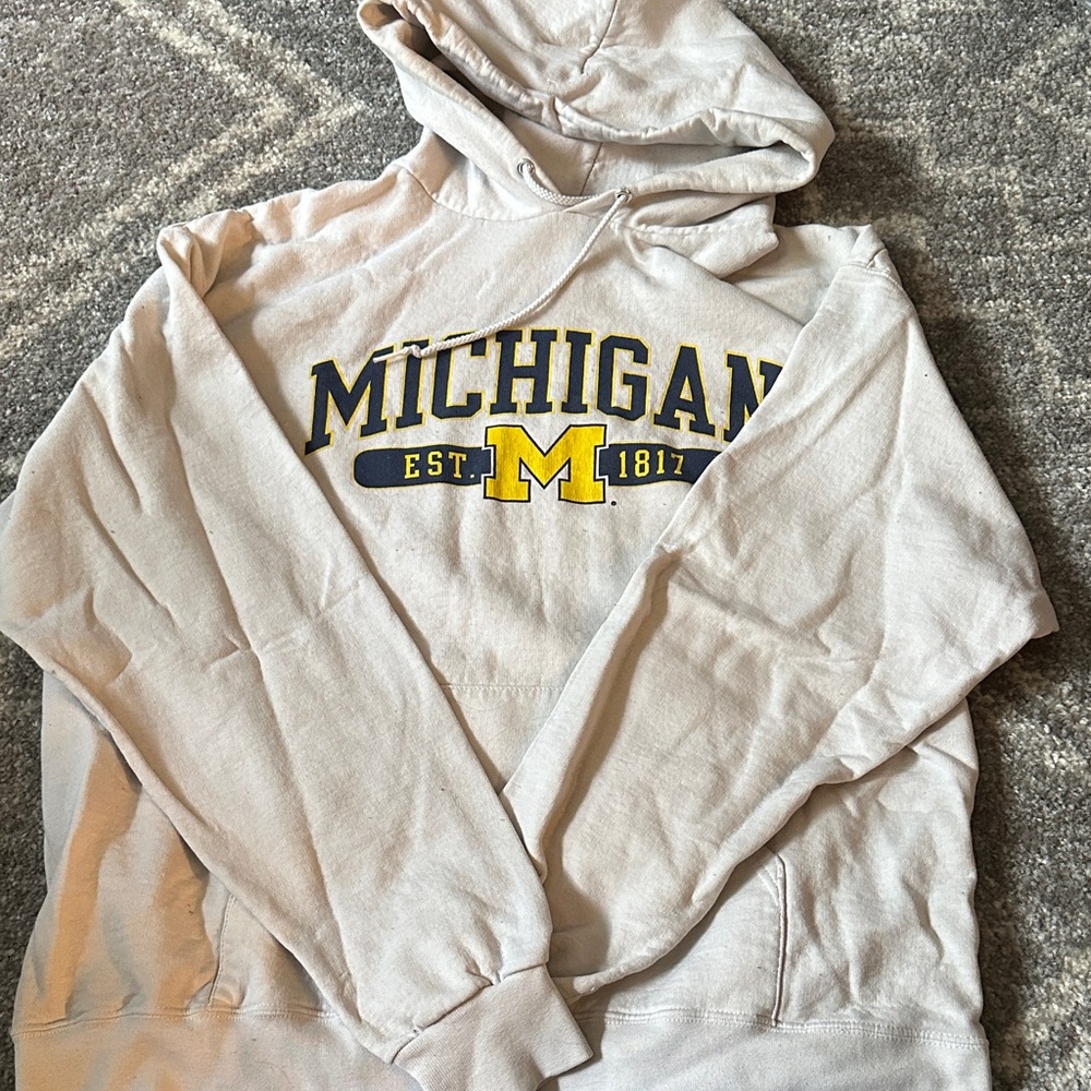 Champion Michigan Hoodie